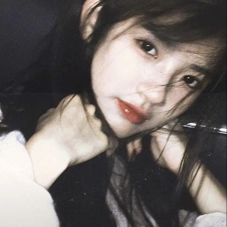 月与莱卡与吸血公主 封面