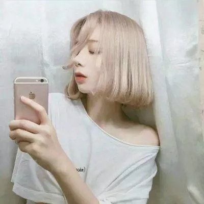 布利斯避难所 封面